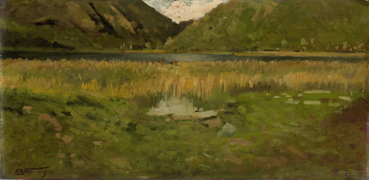 Il canneto